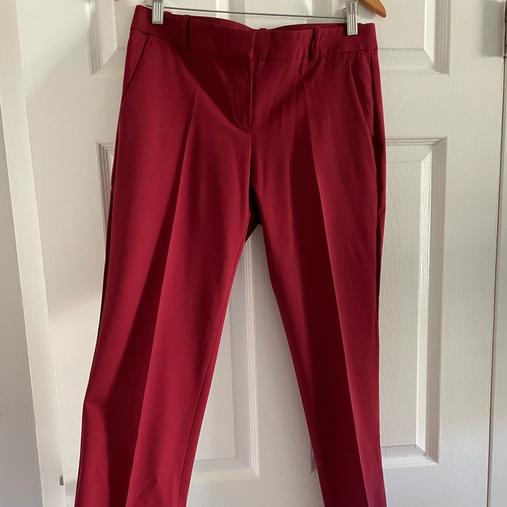 Theory Paint size 8 in burgundy